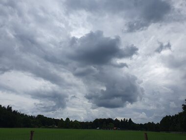 Annelies: Luchtdraak