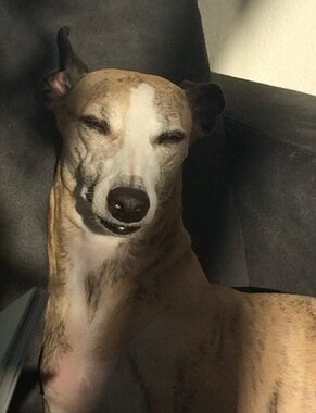 Ina: Nog even de zonnestralen pakken