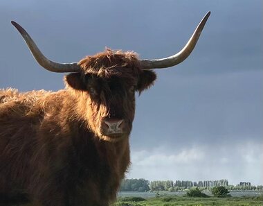 Ina: Rund