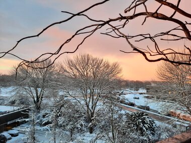 Jacquelien: Morninglight