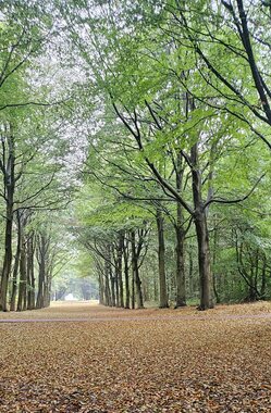 Leentje: En ineens is het herfst