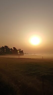 Pat: Zonsopkomst